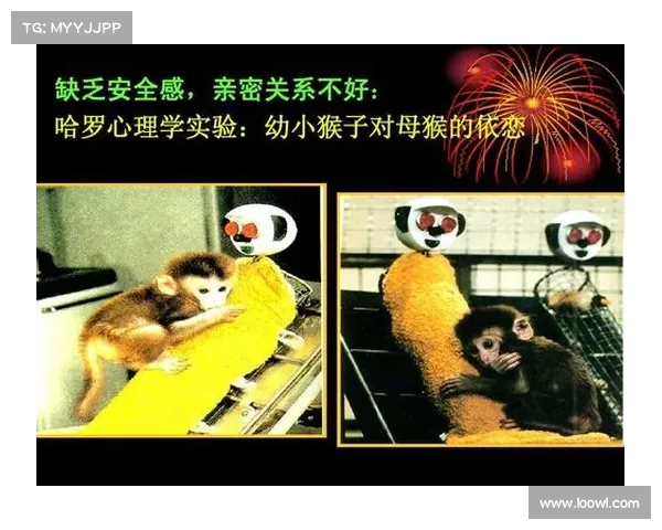 坎贝尔最佳位置选择理论解析与应用探讨